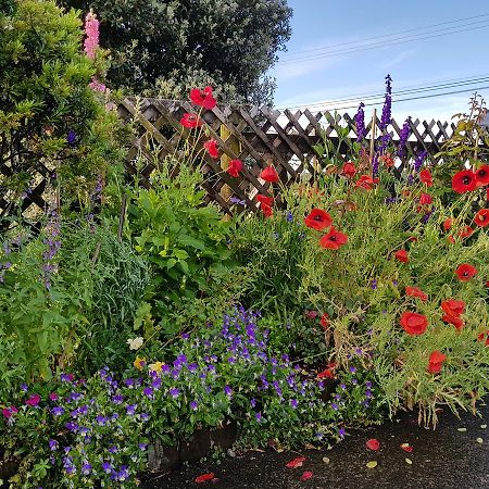 The Green House B&B Whitianga Dış mekan fotoğraf