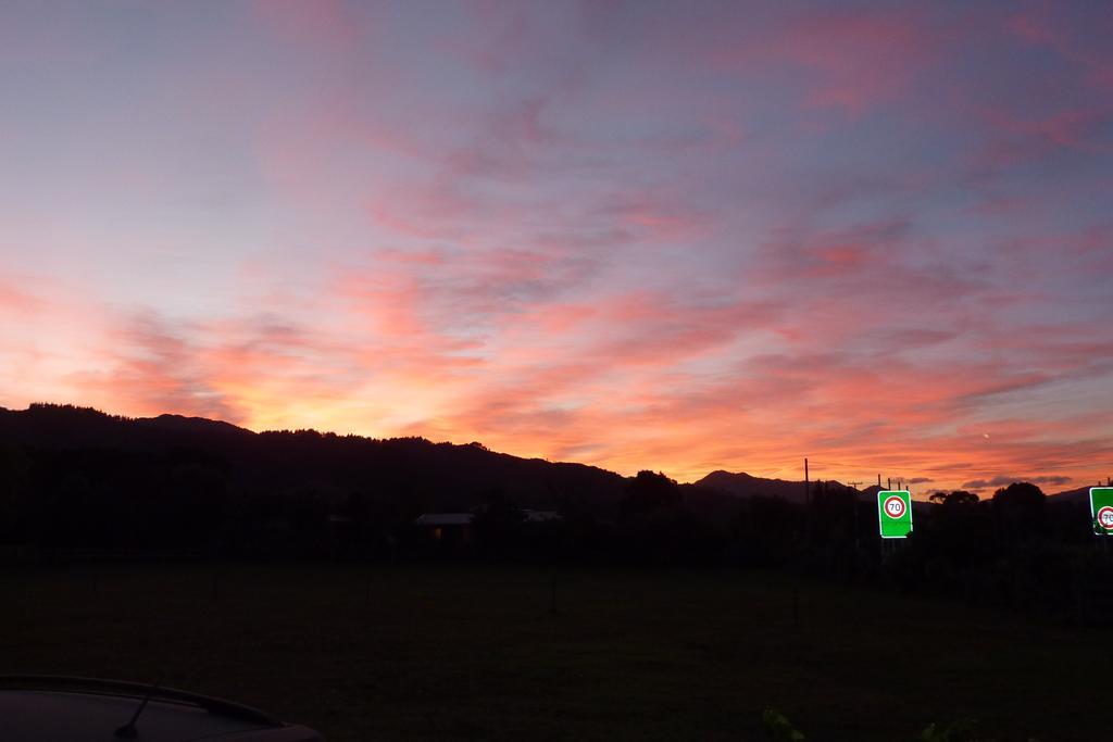 The Green House B&B Whitianga Oda fotoğraf