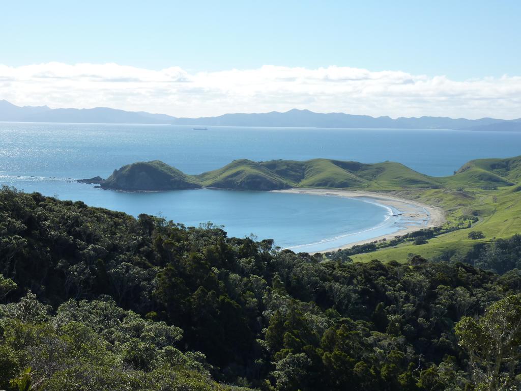 The Green House B&B Whitianga Dış mekan fotoğraf