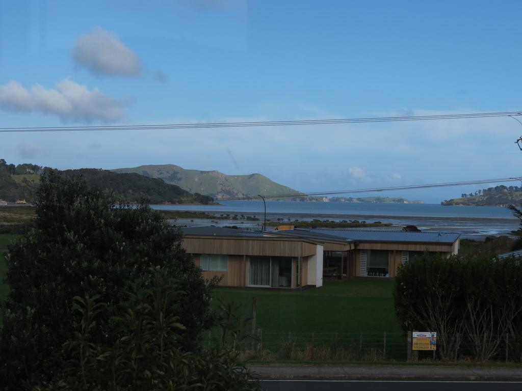 The Green House B&B Whitianga Oda fotoğraf