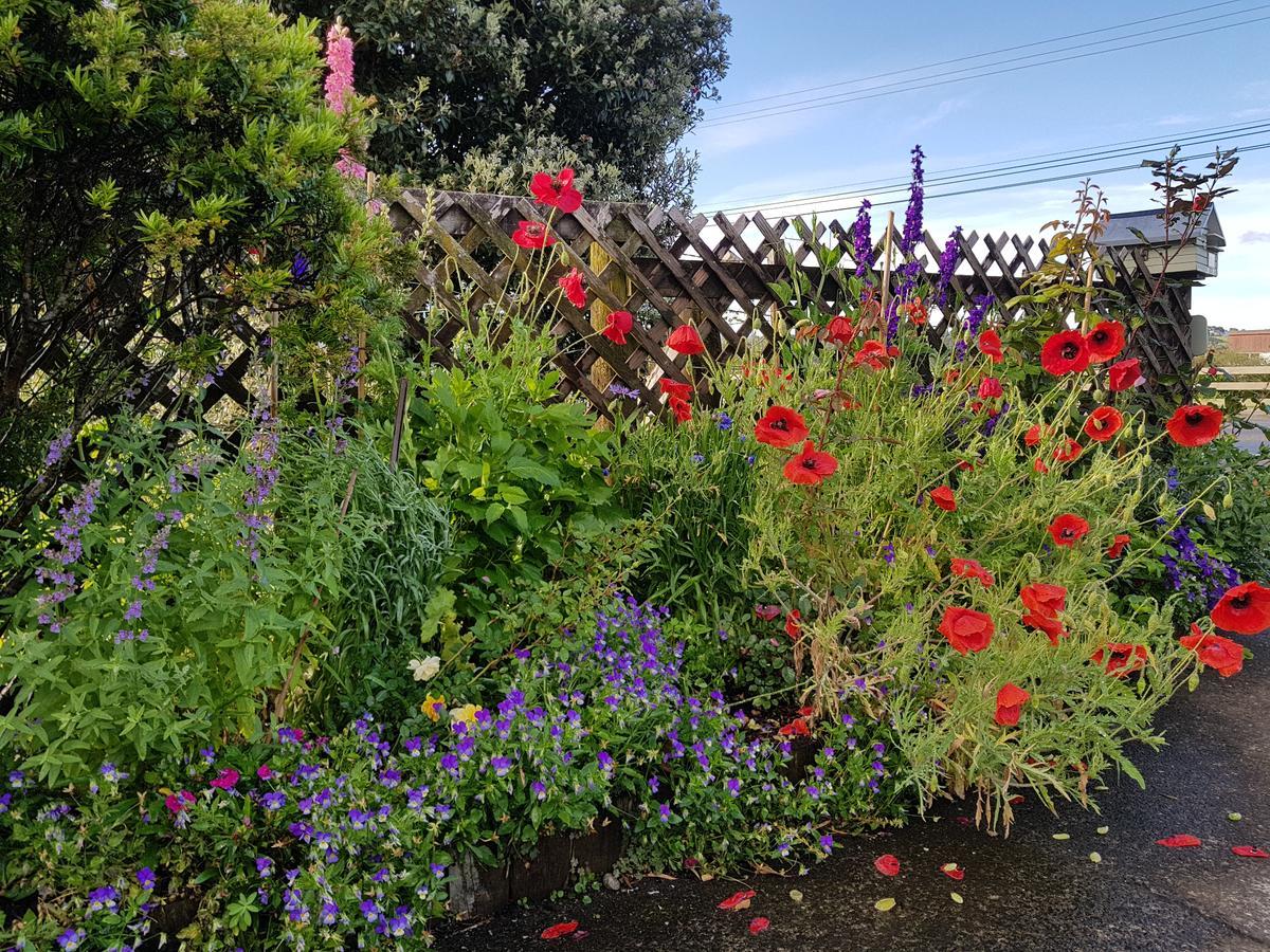 The Green House B&B Whitianga Dış mekan fotoğraf