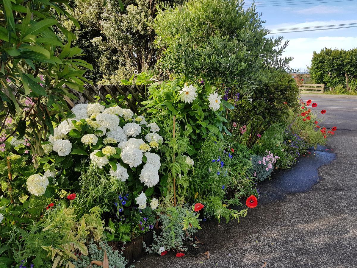 The Green House B&B Whitianga Dış mekan fotoğraf