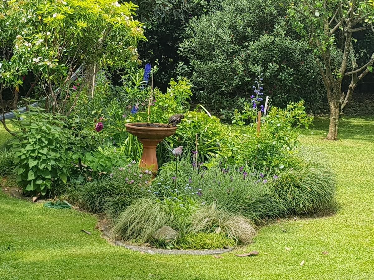 The Green House B&B Whitianga Dış mekan fotoğraf